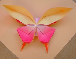 thuc-tap-sinh-nhat-ban-nghe-thuat-gap-giay-origami-tai-nhat-ban